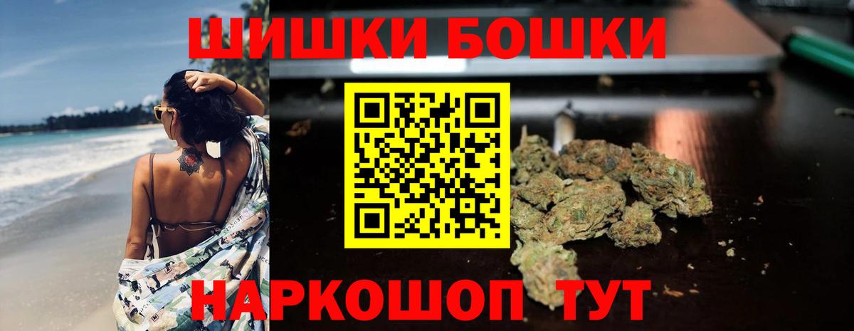Каннабис план Новоалександровск